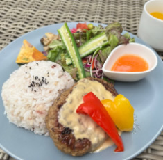 【Lunch】Nanの木特製ハンバーグ